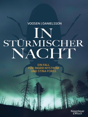cover image of In stürmischer Nacht